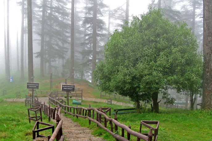 Dhanaulti
