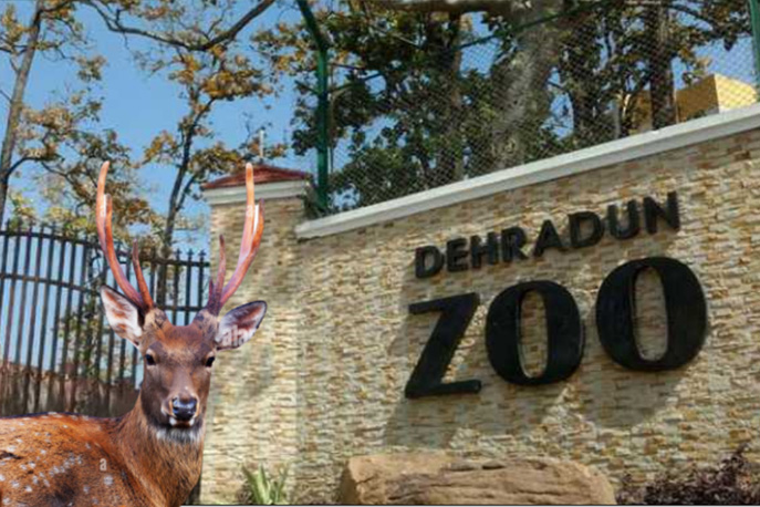 Malsi Deer Park